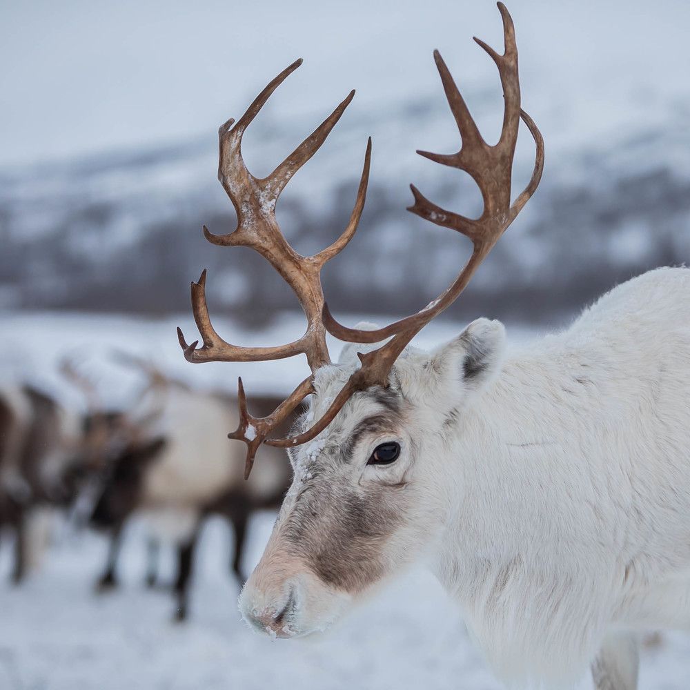 Photograph by Марина Маликова