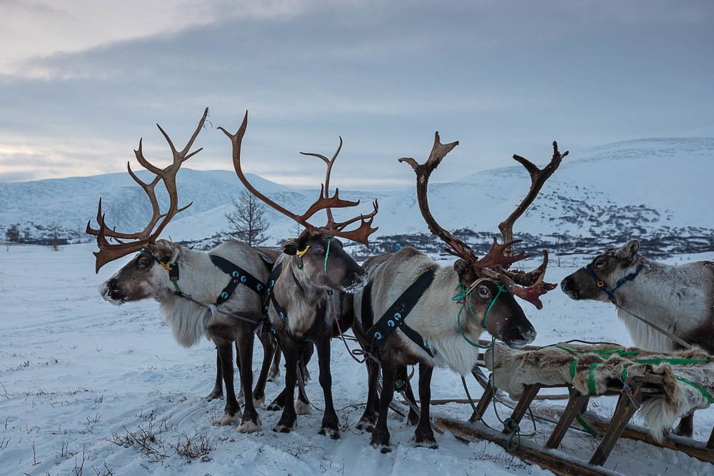 Photograph by Марина Маликова
