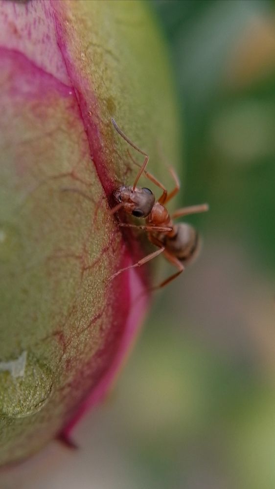 Photograph by Наталия