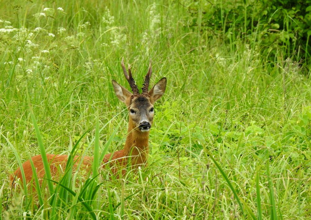 Photograph by Татьяна Калугина