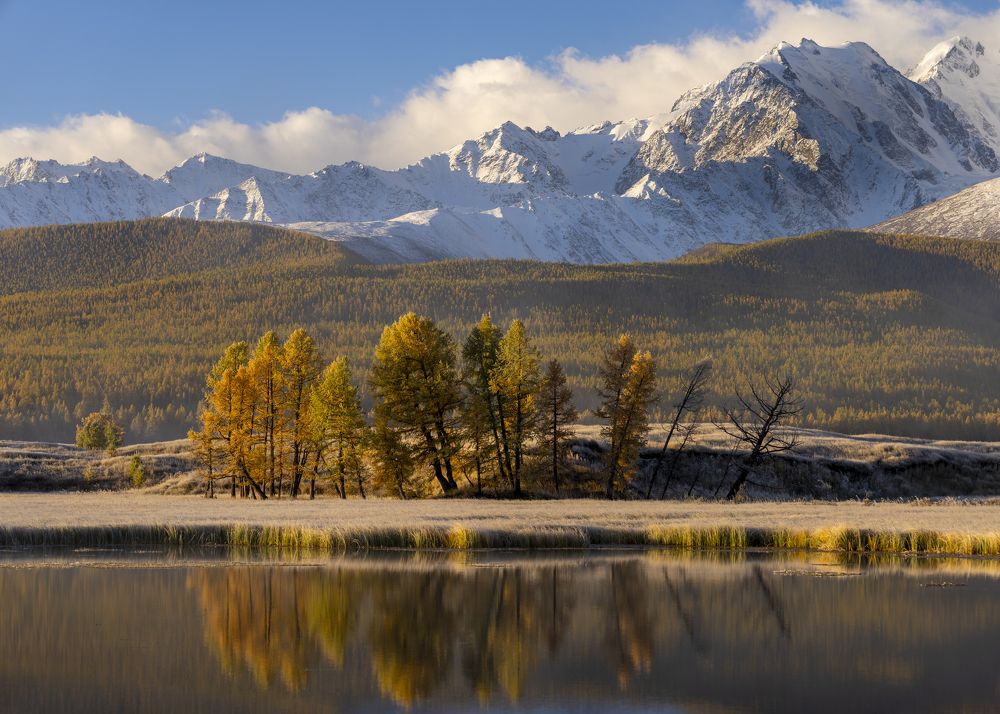 Фотография автора Ковалев Дмитрий