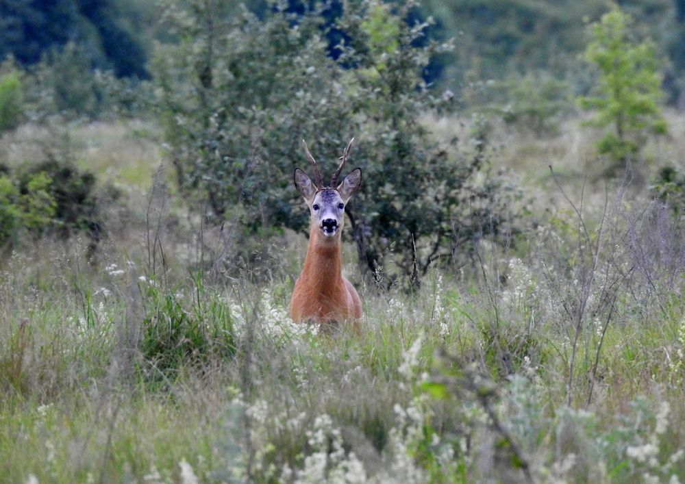Photograph by Татьяна Калугина