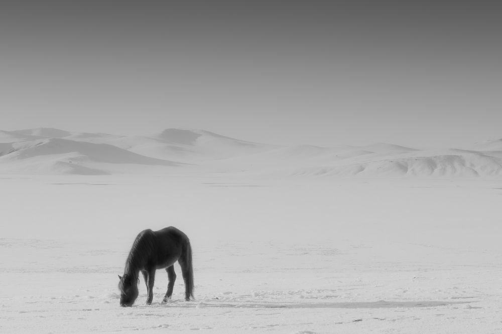 Photograph by Chen Chen