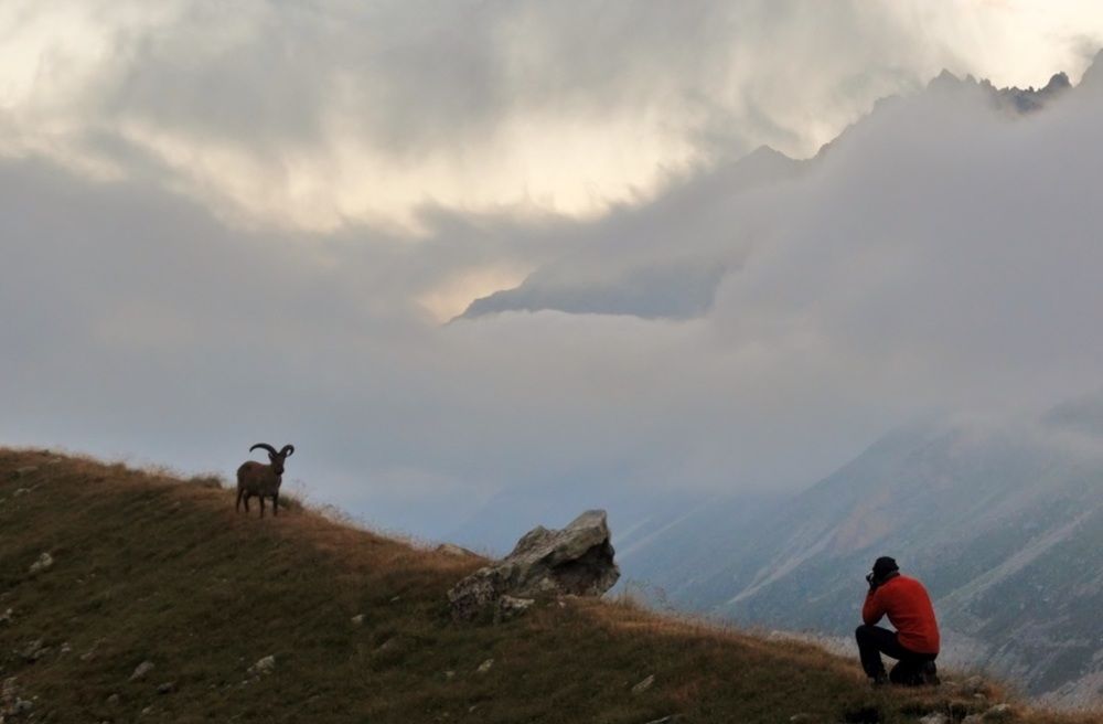 Photograph by Павел Васильев