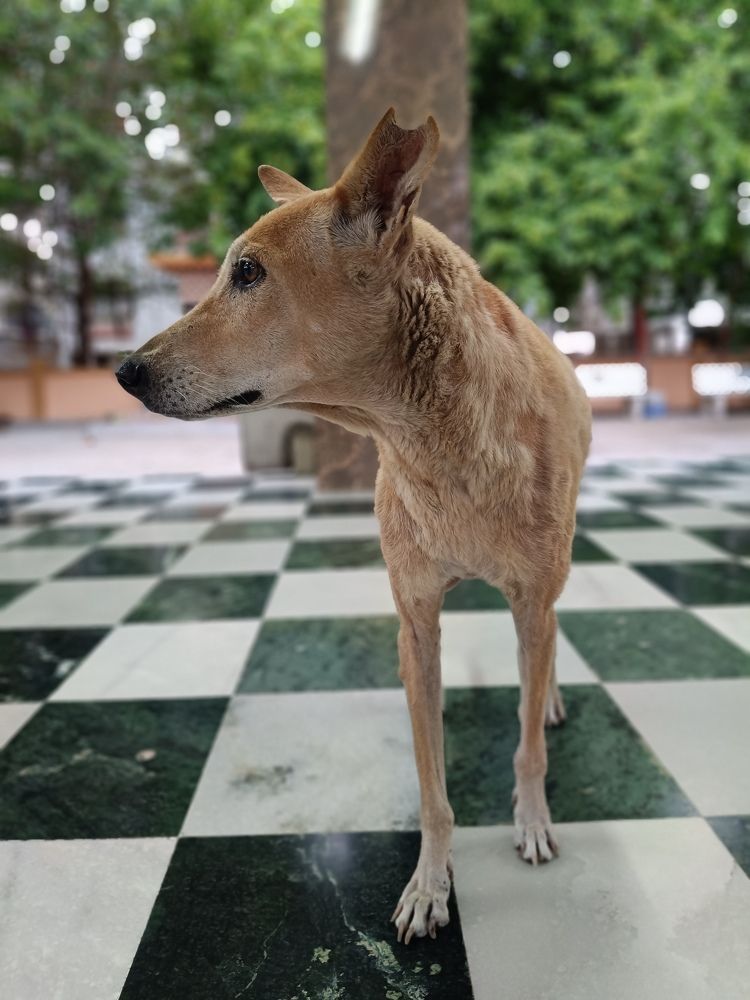 Photograph by Viraj Movaliya
