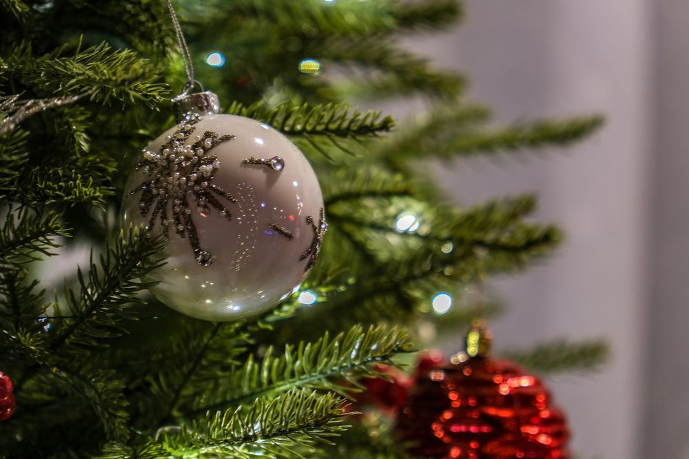 Photograph by Дмитрий