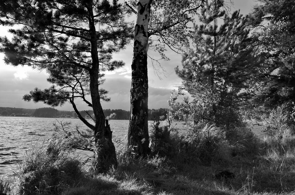 Photograph by НИНА АВЕРЬЯНОВА