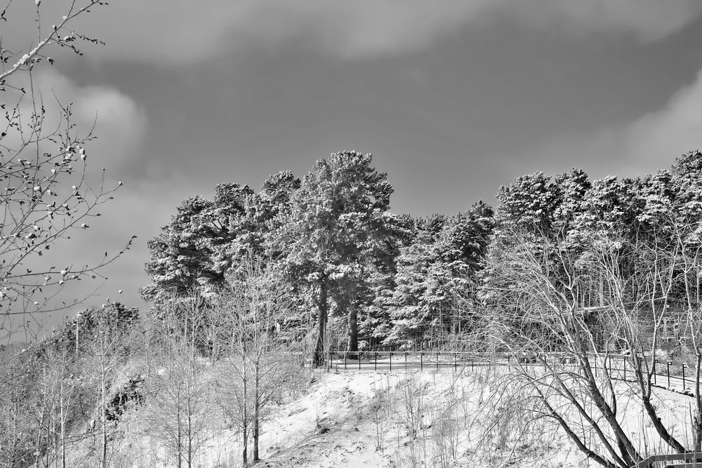 Photograph by НИНА АВЕРЬЯНОВА