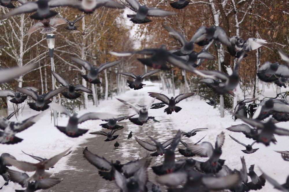 Photograph by Марина Савченко