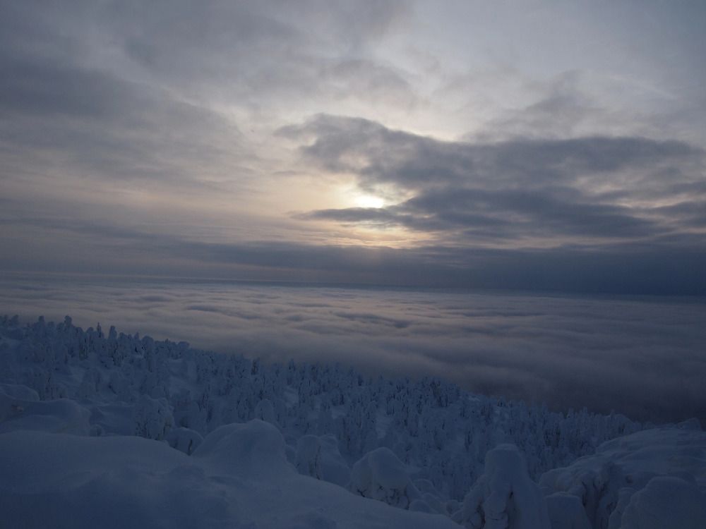 Photograph by Юлия