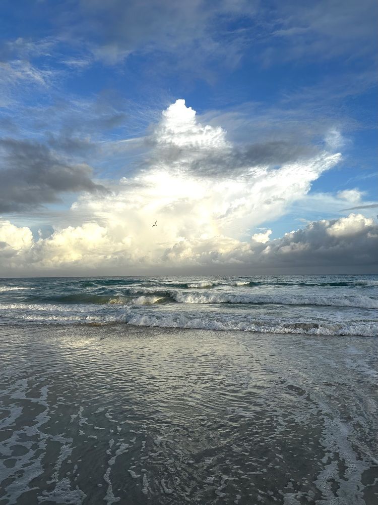 Photograph by Svetlana Rashidova