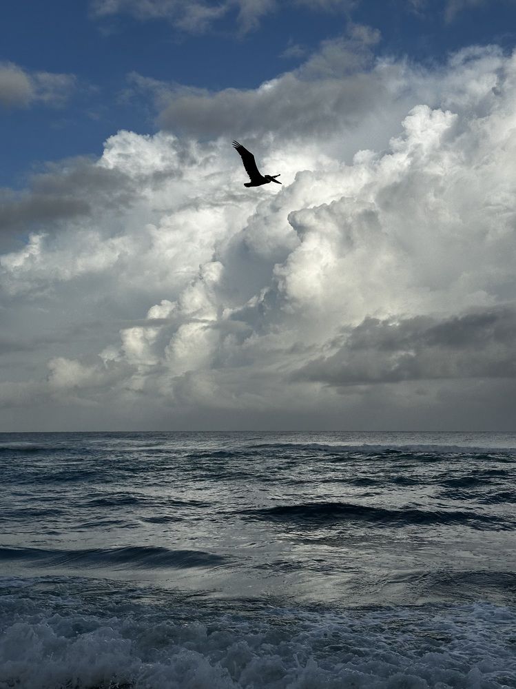 Photograph by Svetlana Rashidova