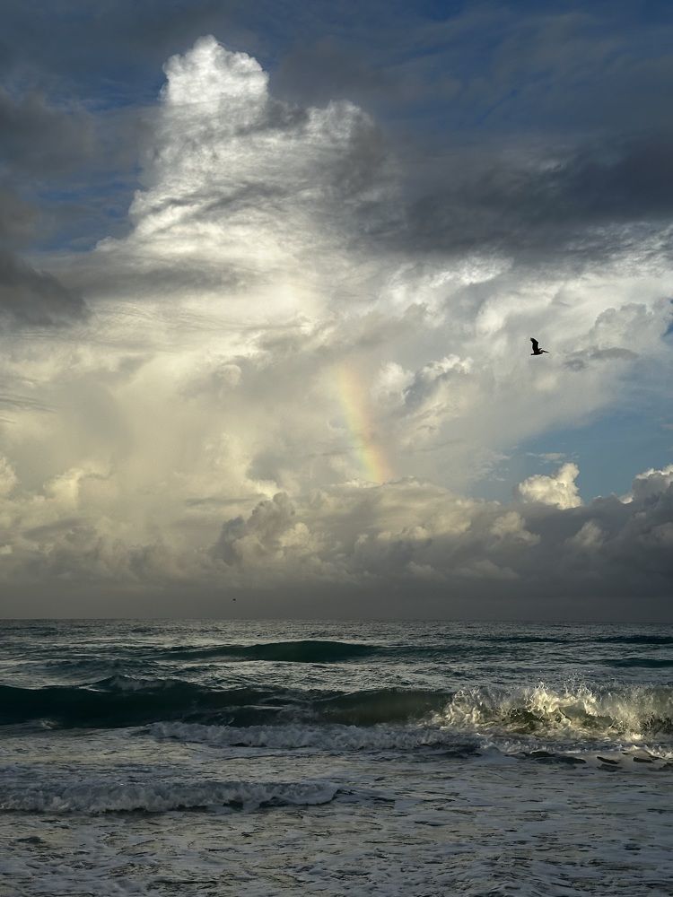 Photograph by Svetlana Rashidova