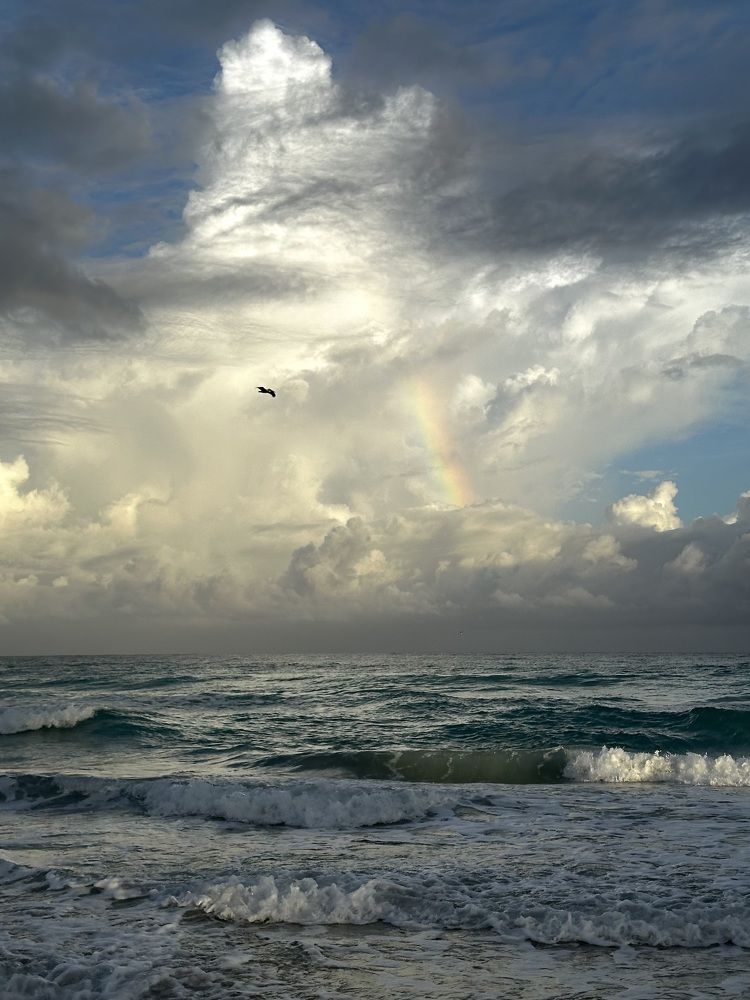 Photograph by Svetlana Rashidova