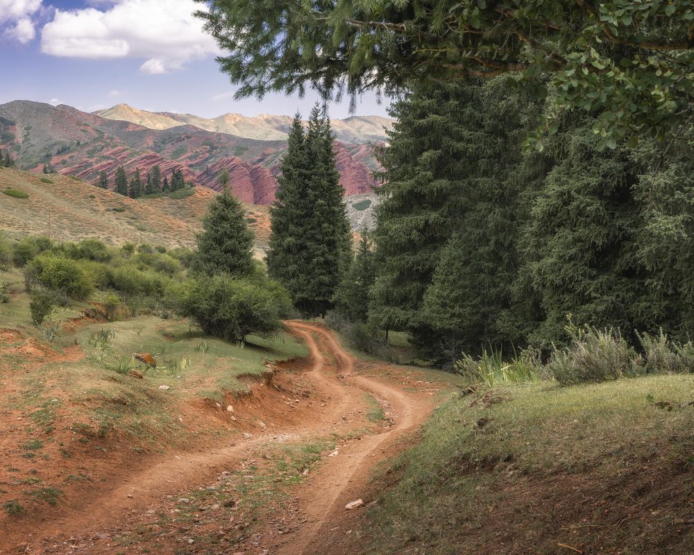Фотография автора Татьяна Добровольская