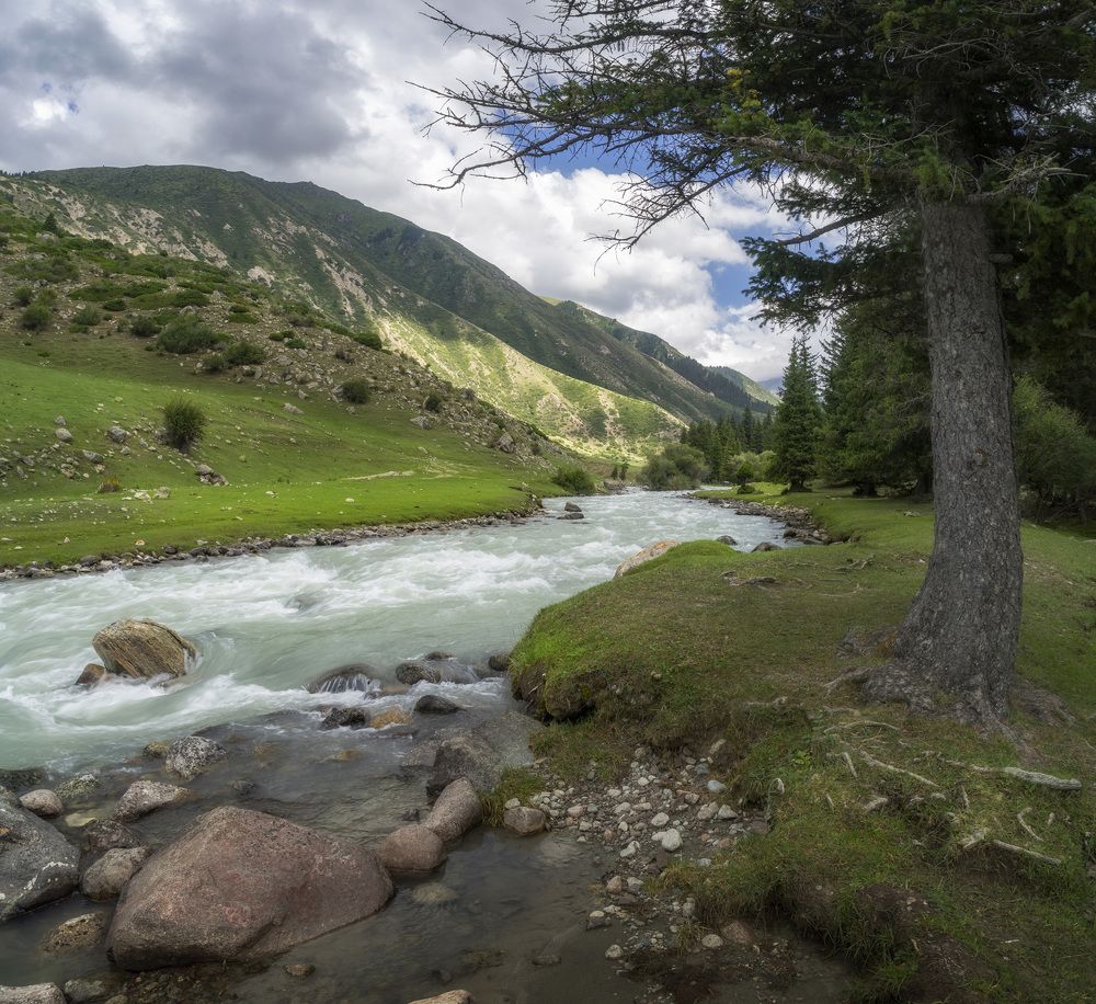 Фотография автора Татьяна Добровольская