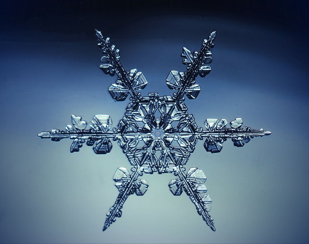 Пришелец с небес