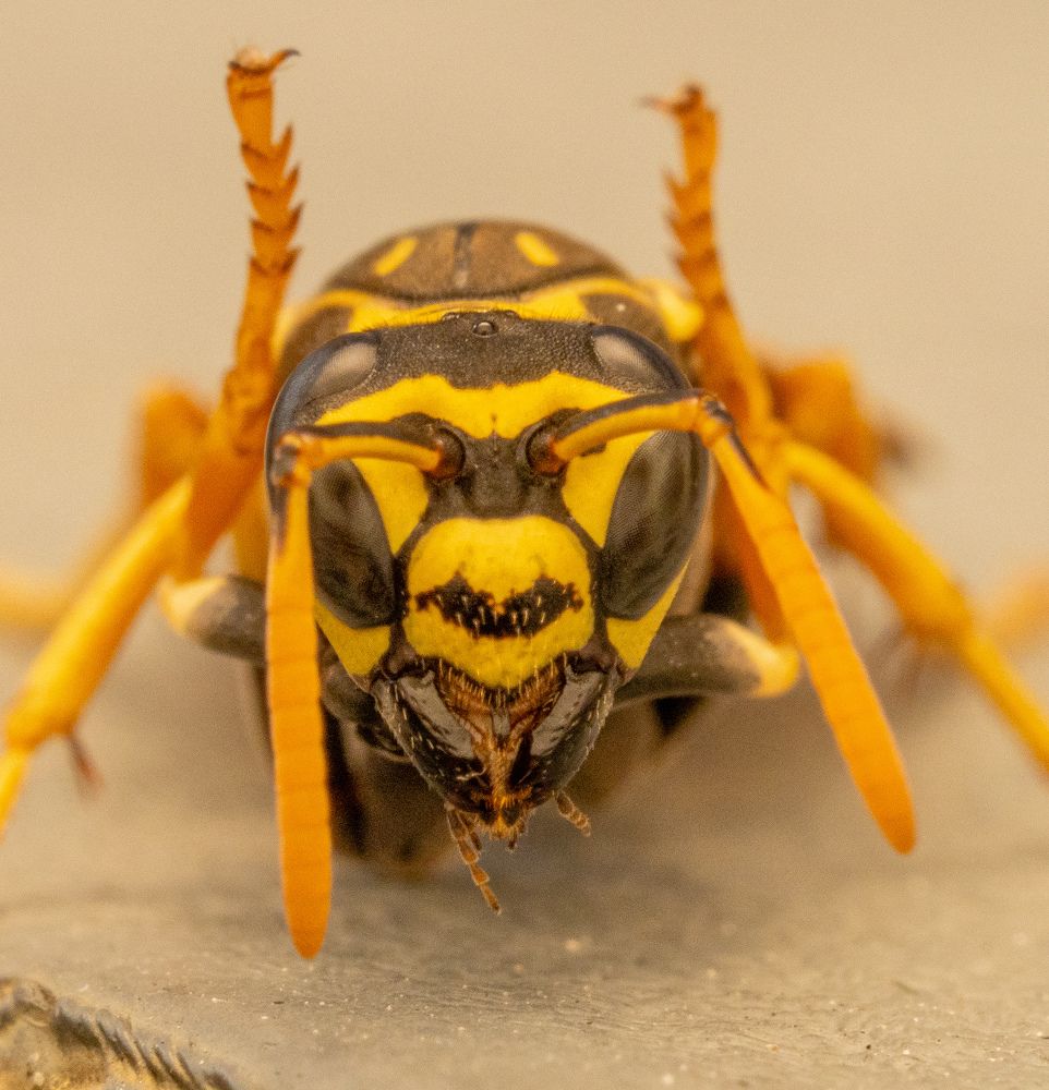 Фотография автора Sercan Özyurt