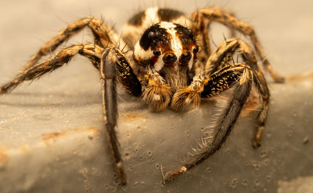 Фотография автора Sercan Özyurt