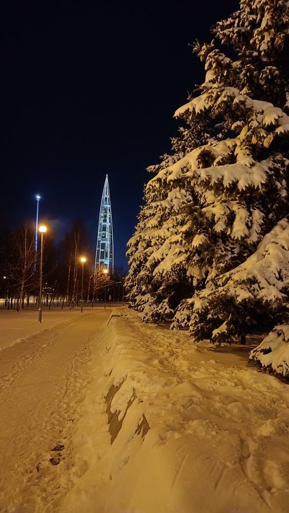 Photo #11528506