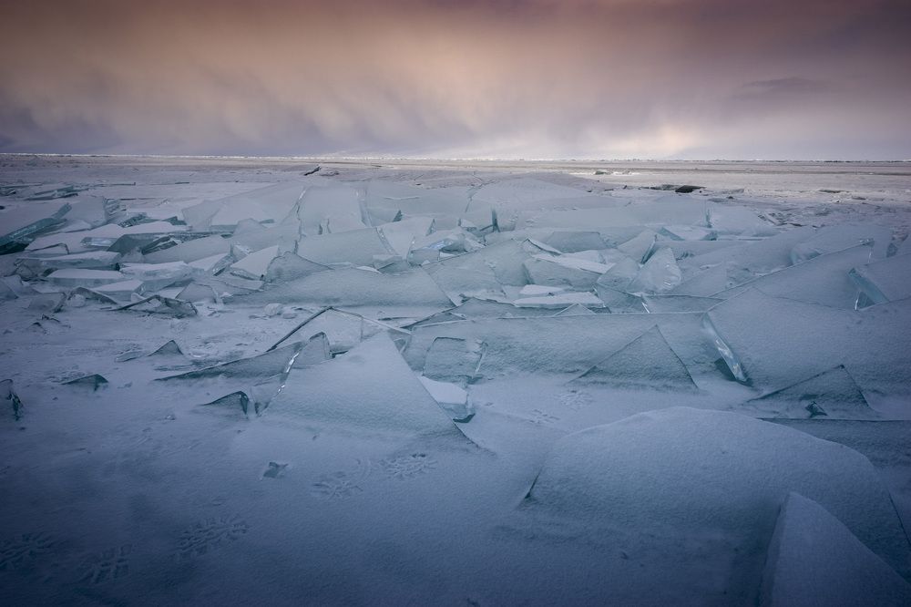 Фотография автора Татьяна Добровольская