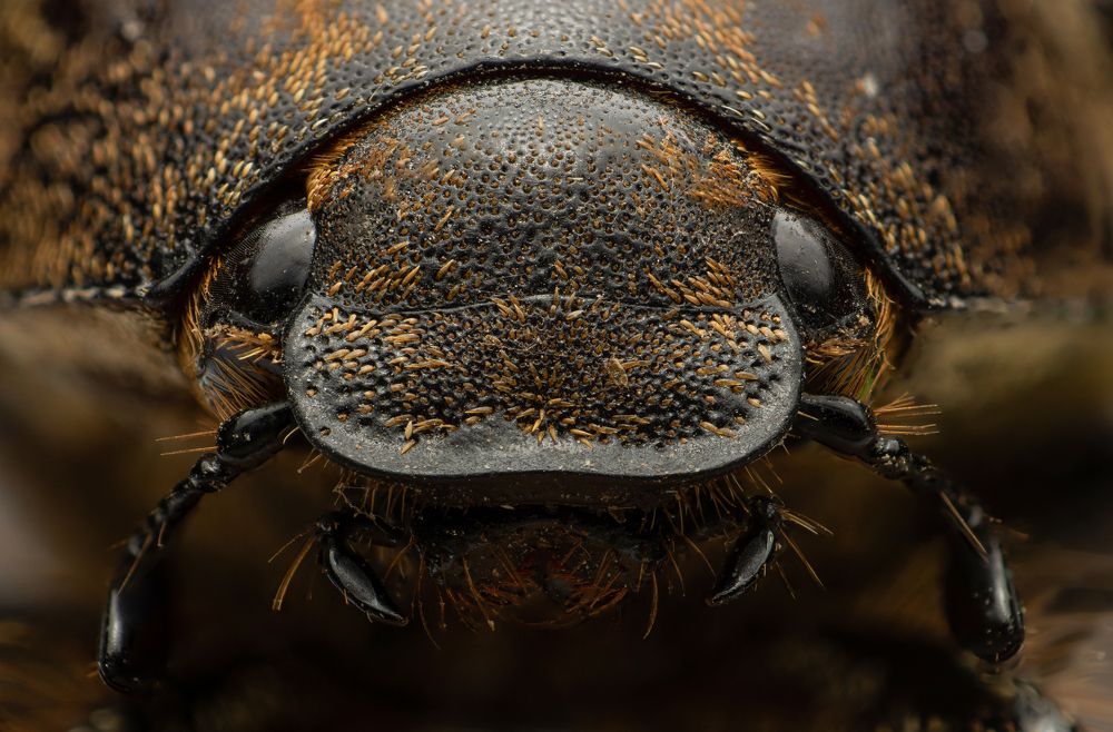 Photograph by Tharindu Gunarathna