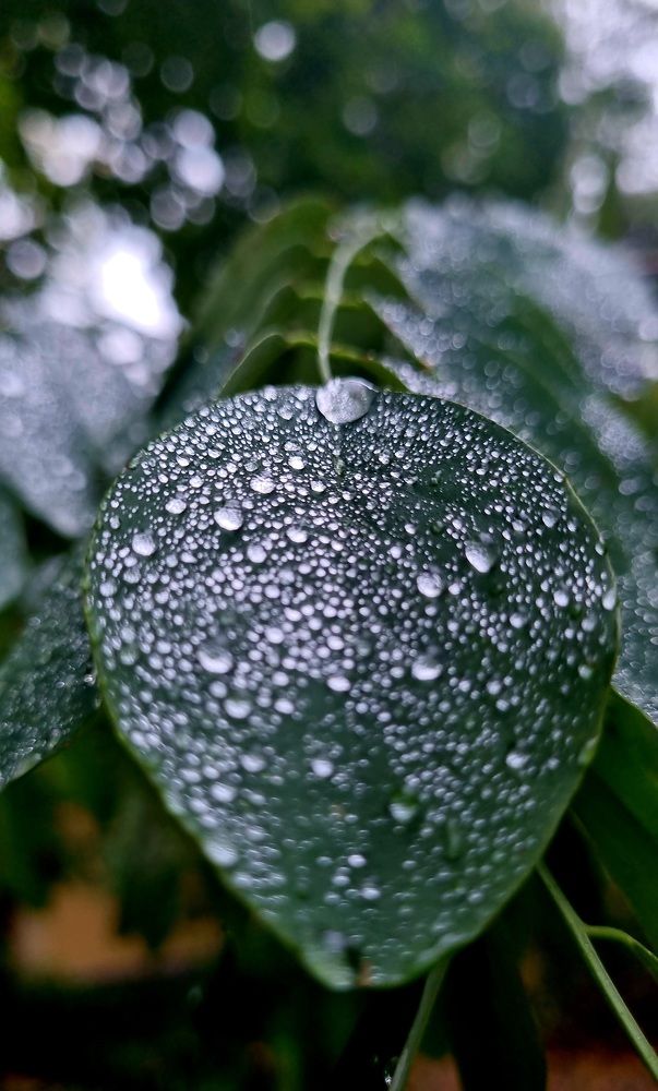 Photograph by Ольга