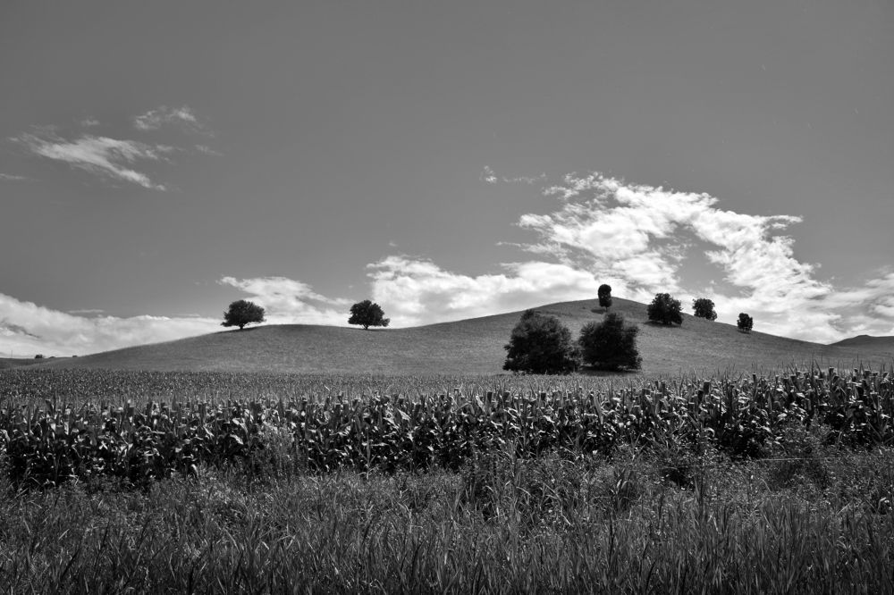 Photograph by Зорин Миша