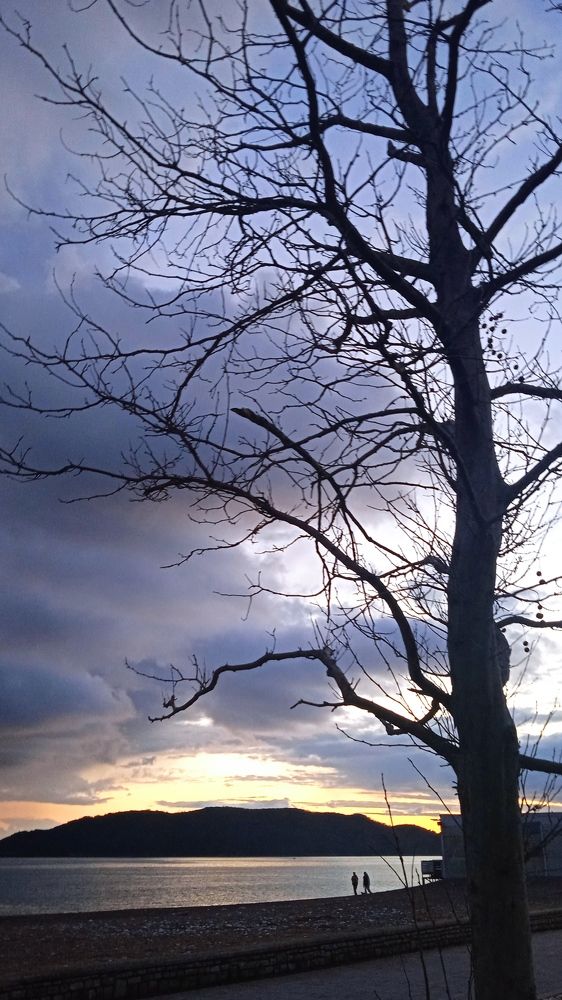 Photograph by vera