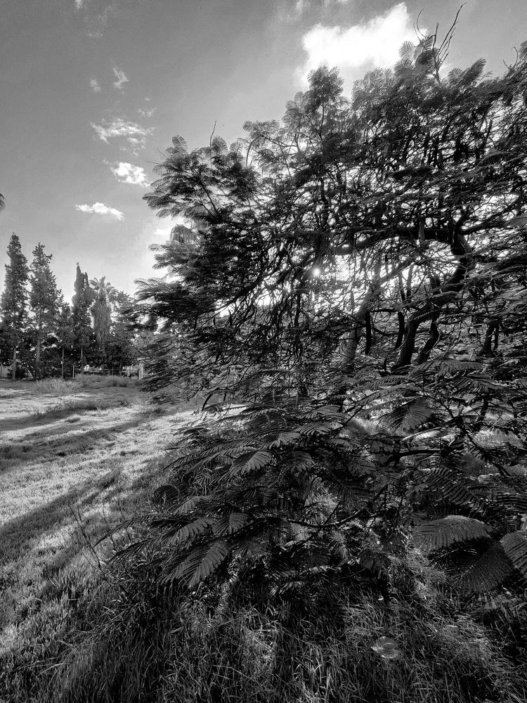 Фотография автора Sara Attia