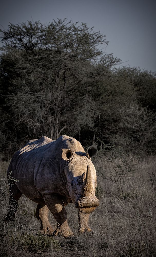 Photograph by Кирилл Мазазолин