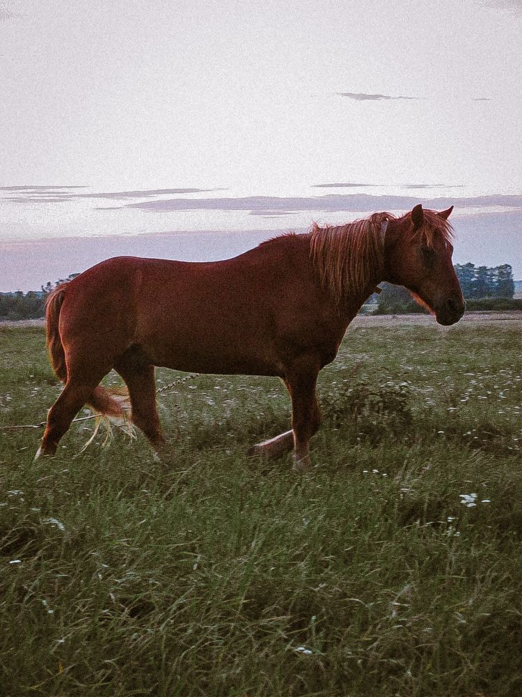 Photograph by Natalia Schastnaya
