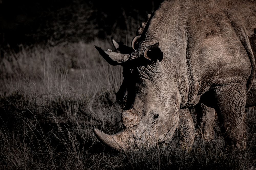 Photograph by Кирилл Мазазолин