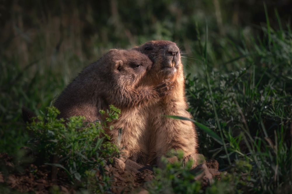 Photograph by Nephotograph