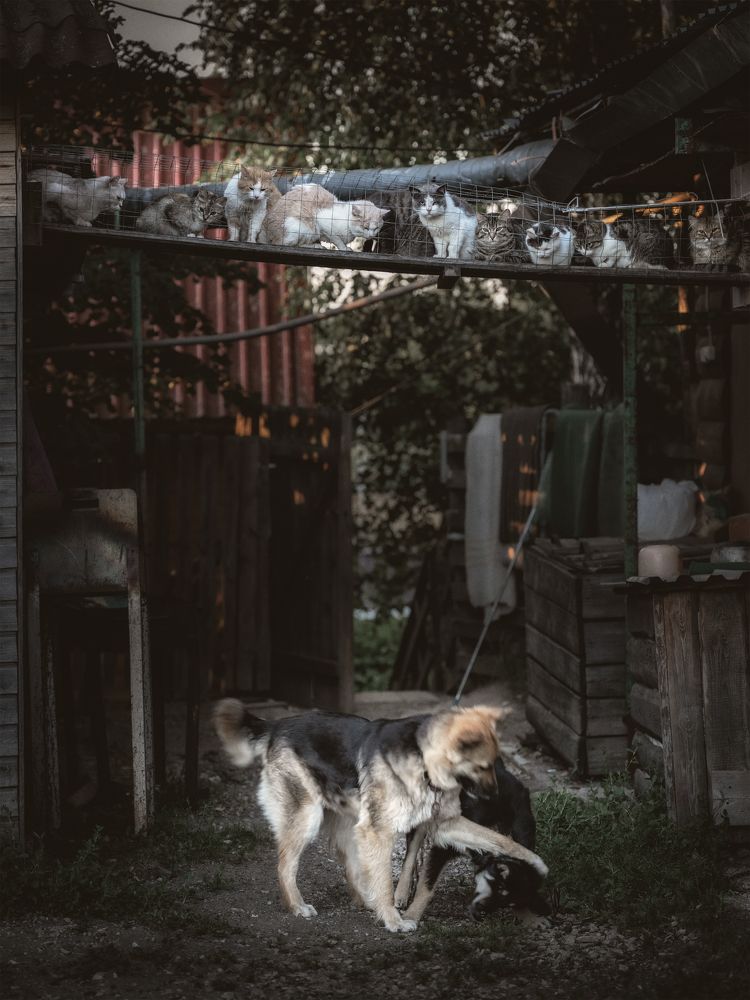 Photograph by Nephotograph