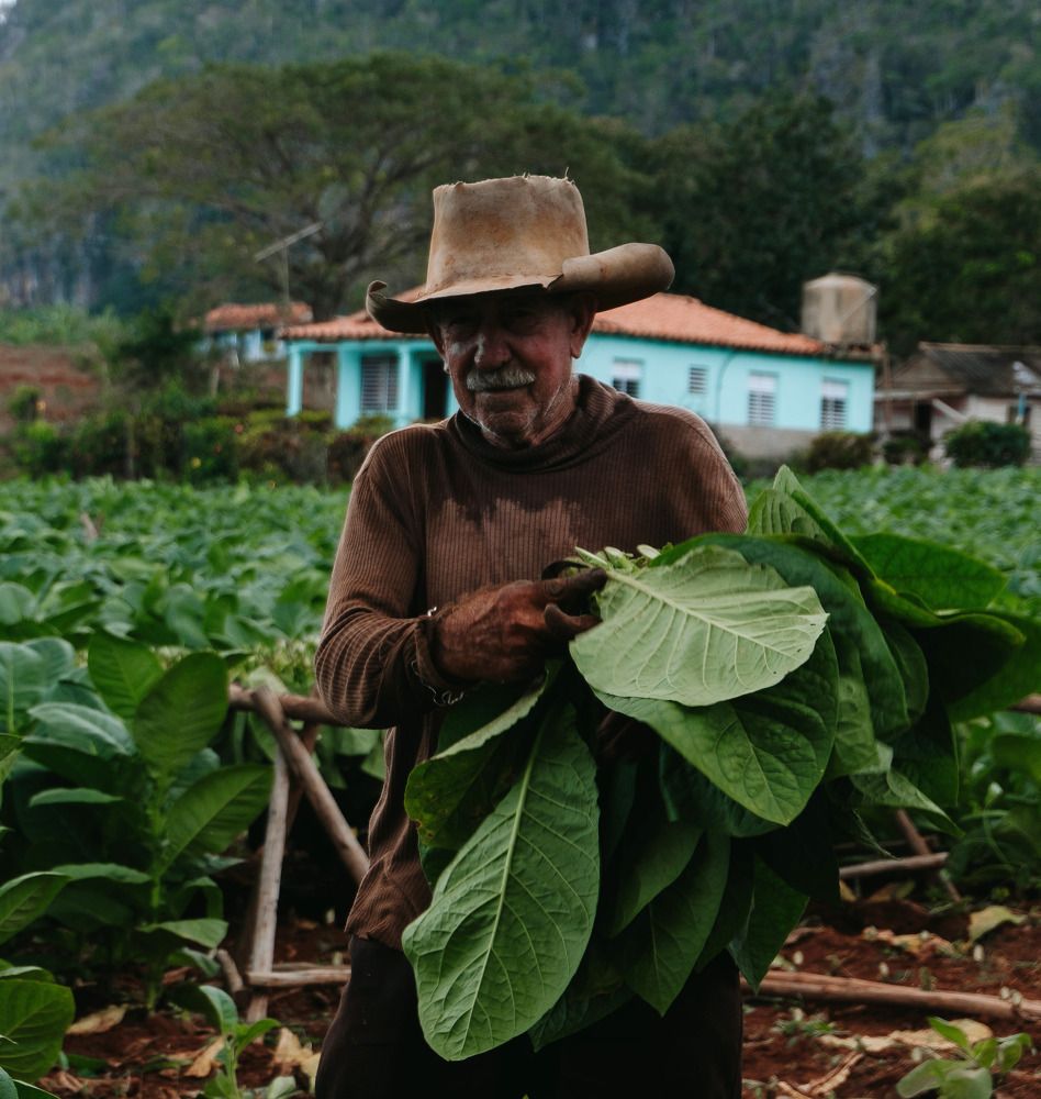 Photograph by Мария Парамонова