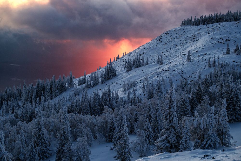 Photograph by Бодрягин Виталий