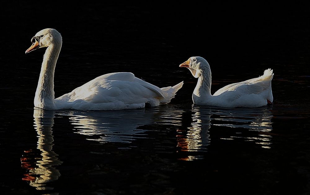 Photograph by Татьяна Слесарева