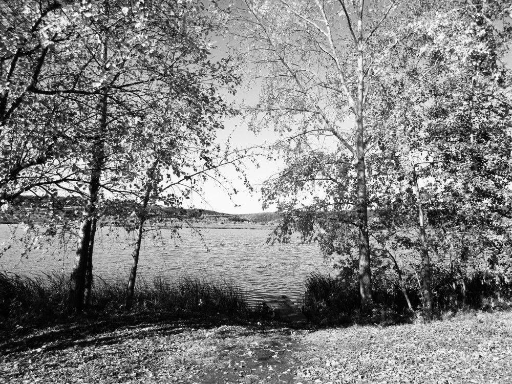 Photograph by Николай Худяков