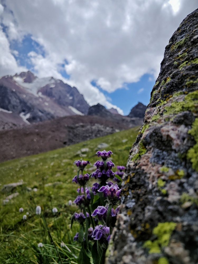 Фотография автора Евгения Владимировна