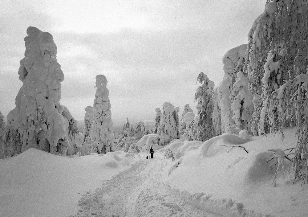 Photo #11529002