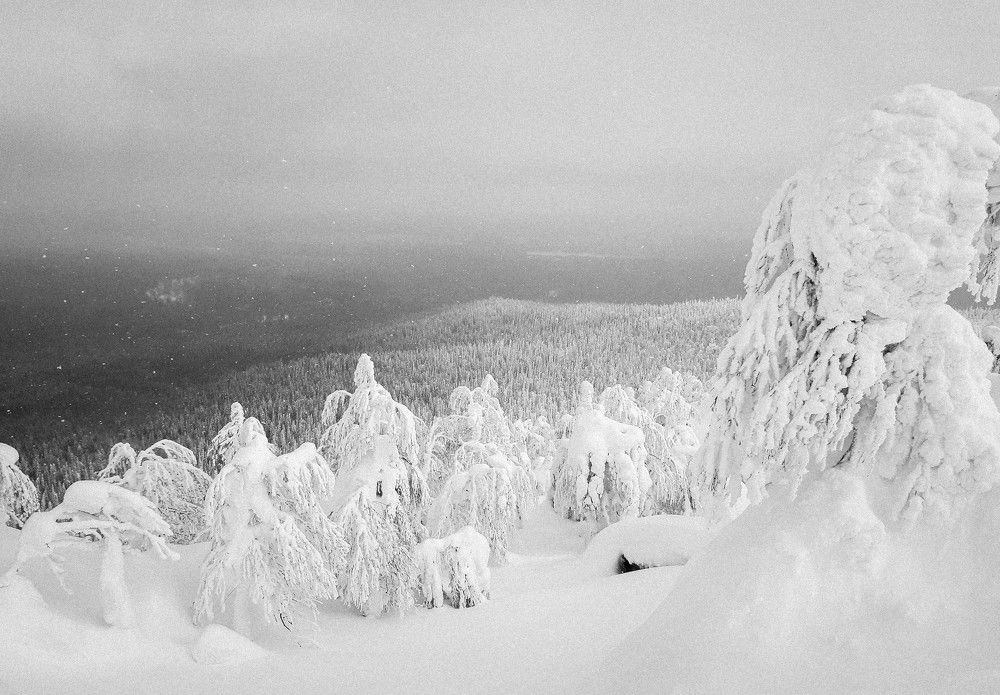 Photo #11529003