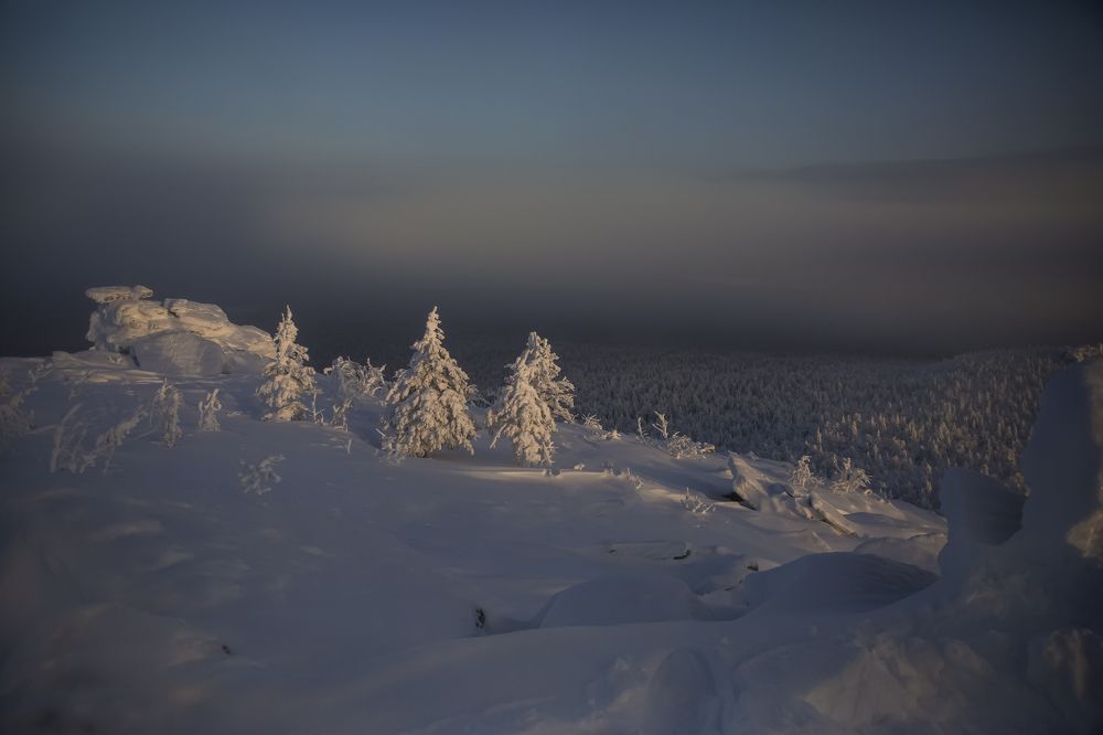 Photograph by Татьяна Дубовицкая