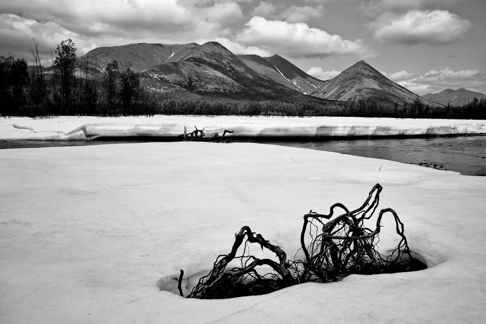 Photograph by Олег Раков