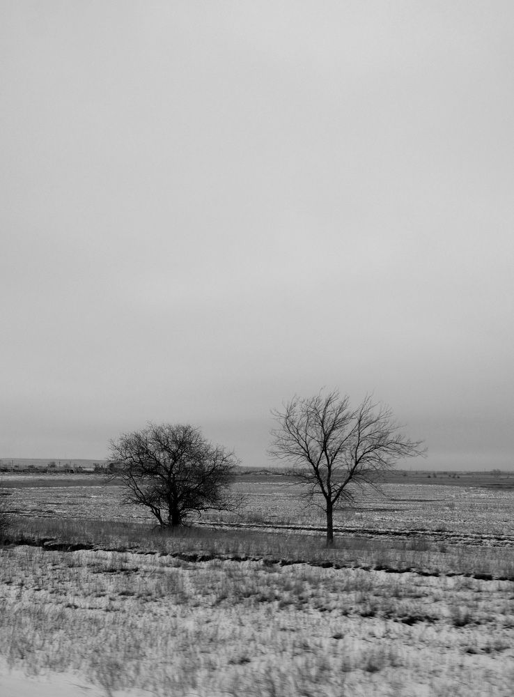 Photograph by Яна Истоцкая