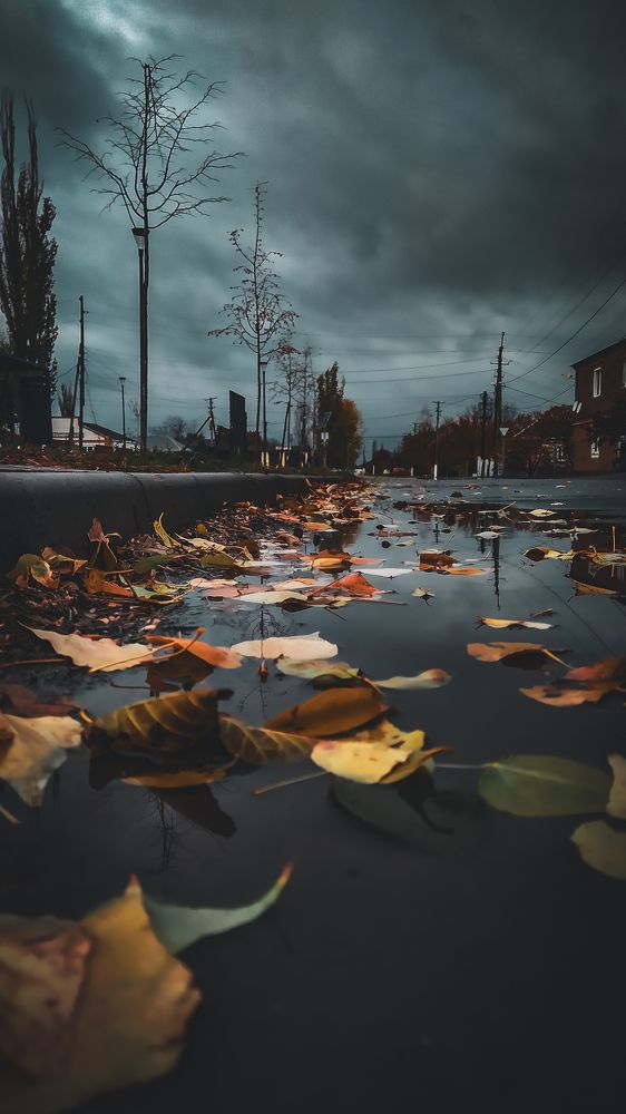 Мрачная радуга осени