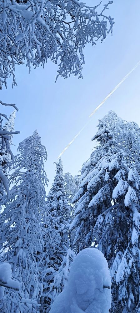 Photograph by Сергей Вершинин