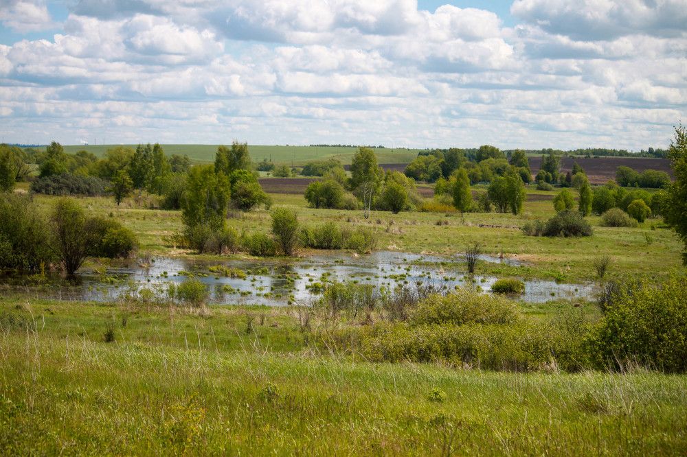 Photograph by Владислав Капанов