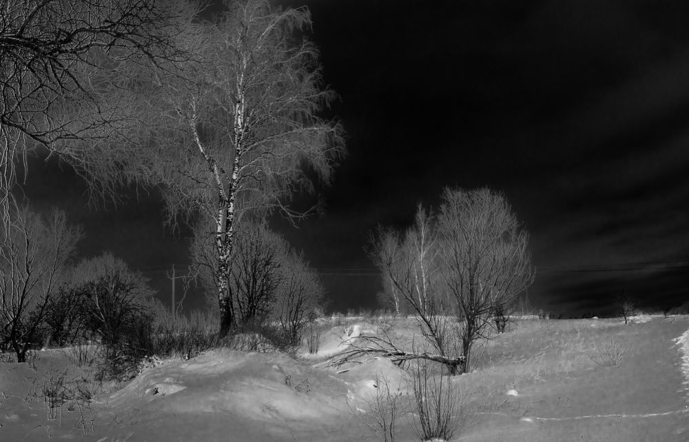 Photograph by Викулов Сергей