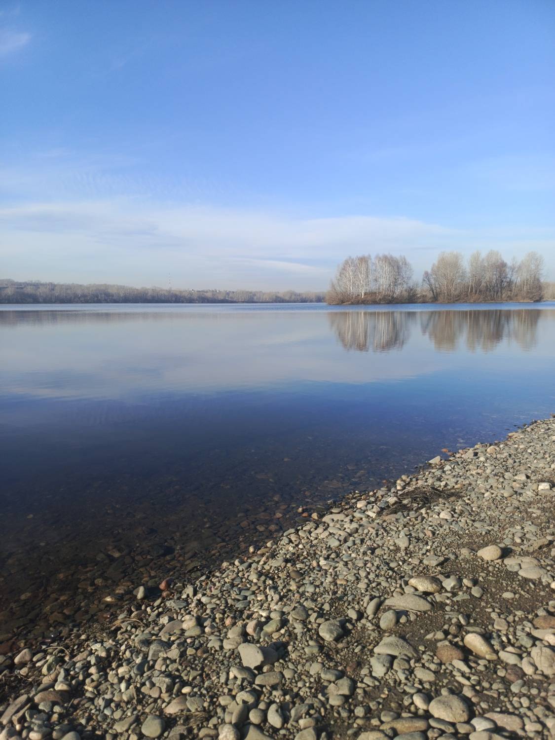 Photo #11529179
